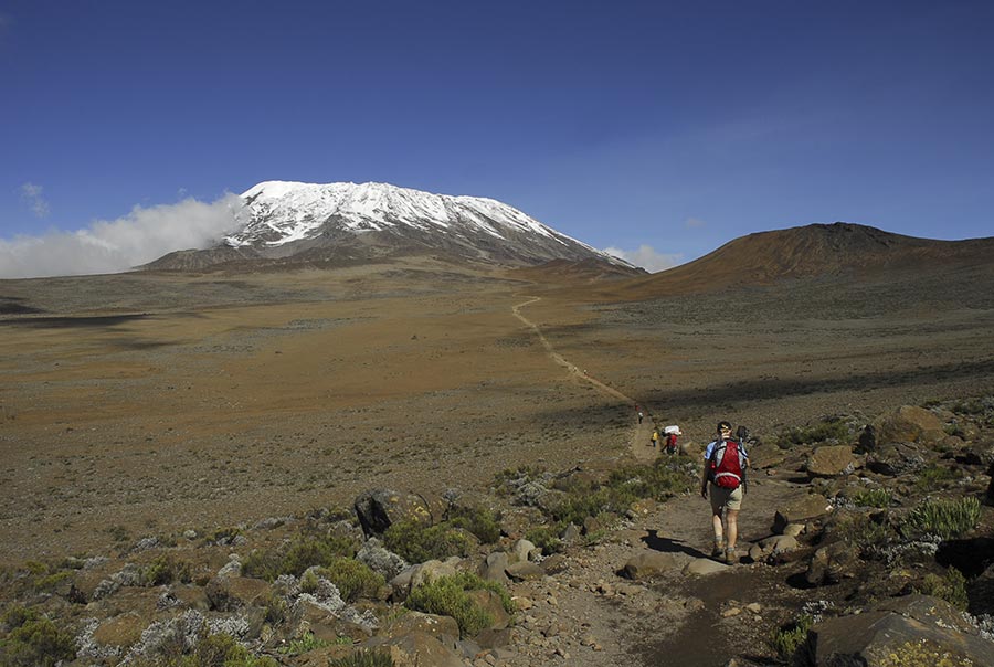 climb kilimanjaro with peak planet