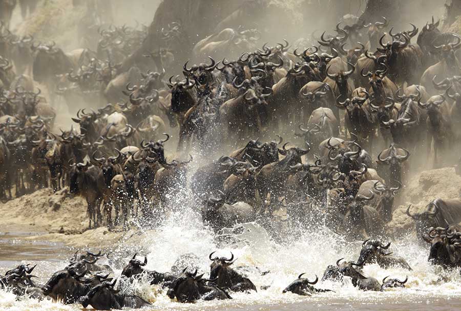 the great migration
