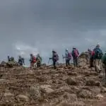 trekkers climb kilimanjaro