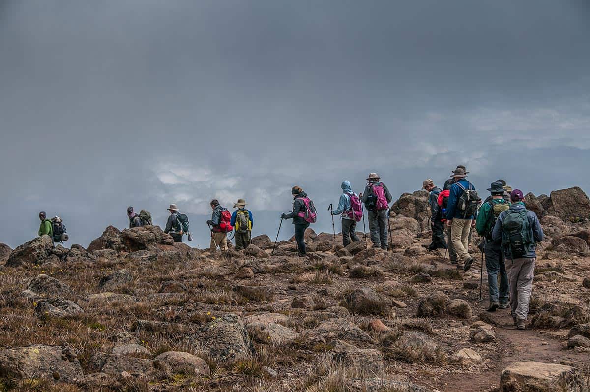 trekkers climb kilimanjaro