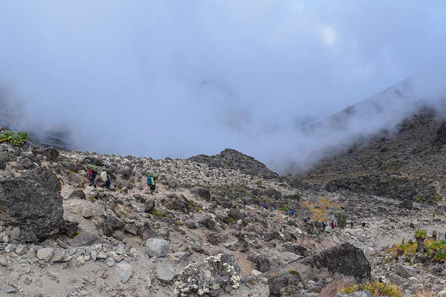 alpine desert zone
