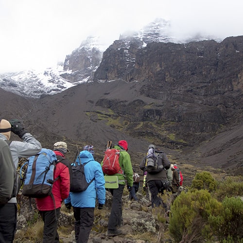 group climb kilimanjaro