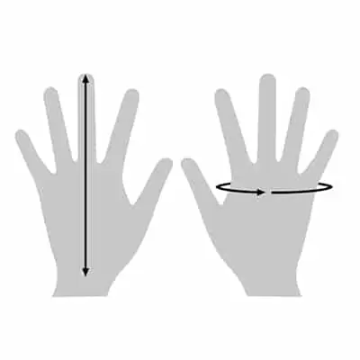 hand measurements