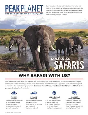 safari brochure