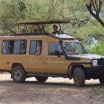 safari-vehicle
