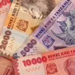 tanzanian shillings