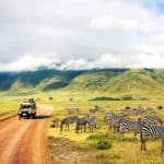 Wild,Nature,Of,Africa.,Zebras,Against,Mountains,And,Clouds.,Safari