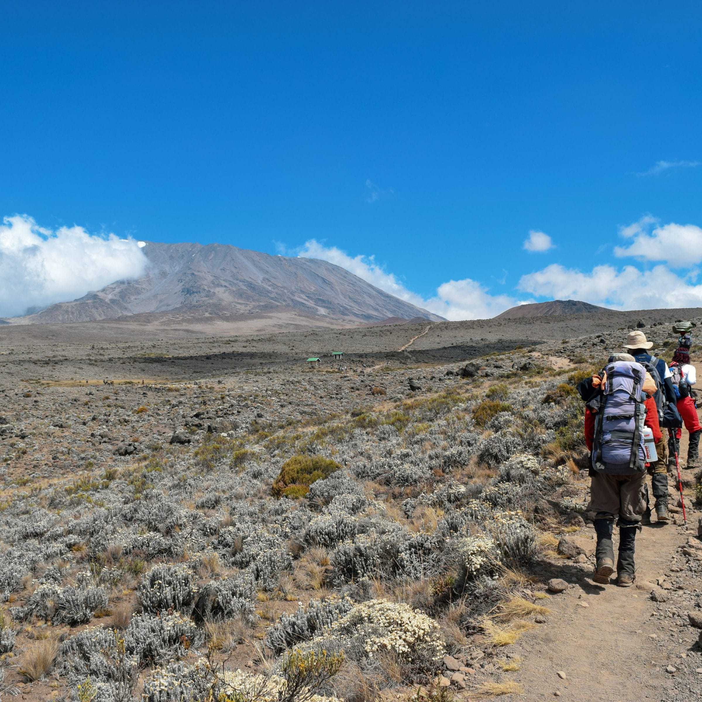 Is Climbing Kilimanjaro Dangerous? Peak