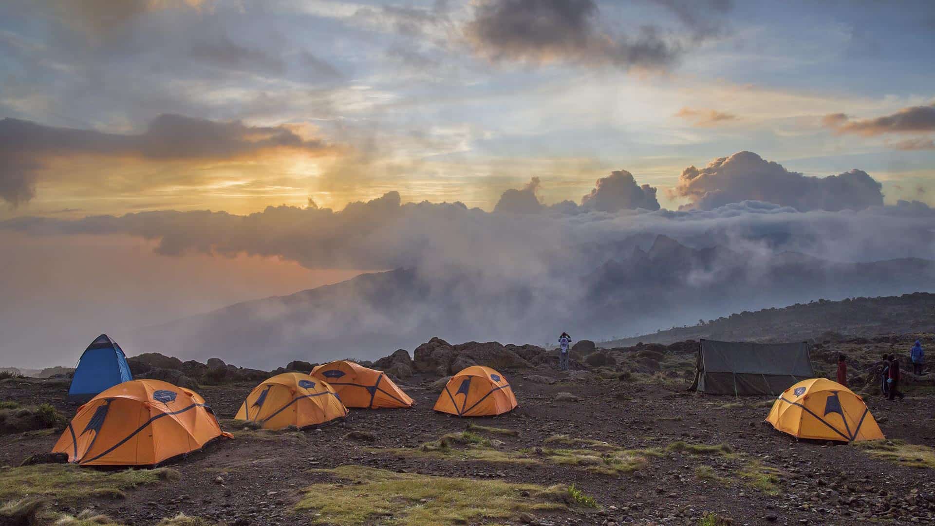 Climb Kilimanjaro with the Best Guides on Kilimanjaro Peak