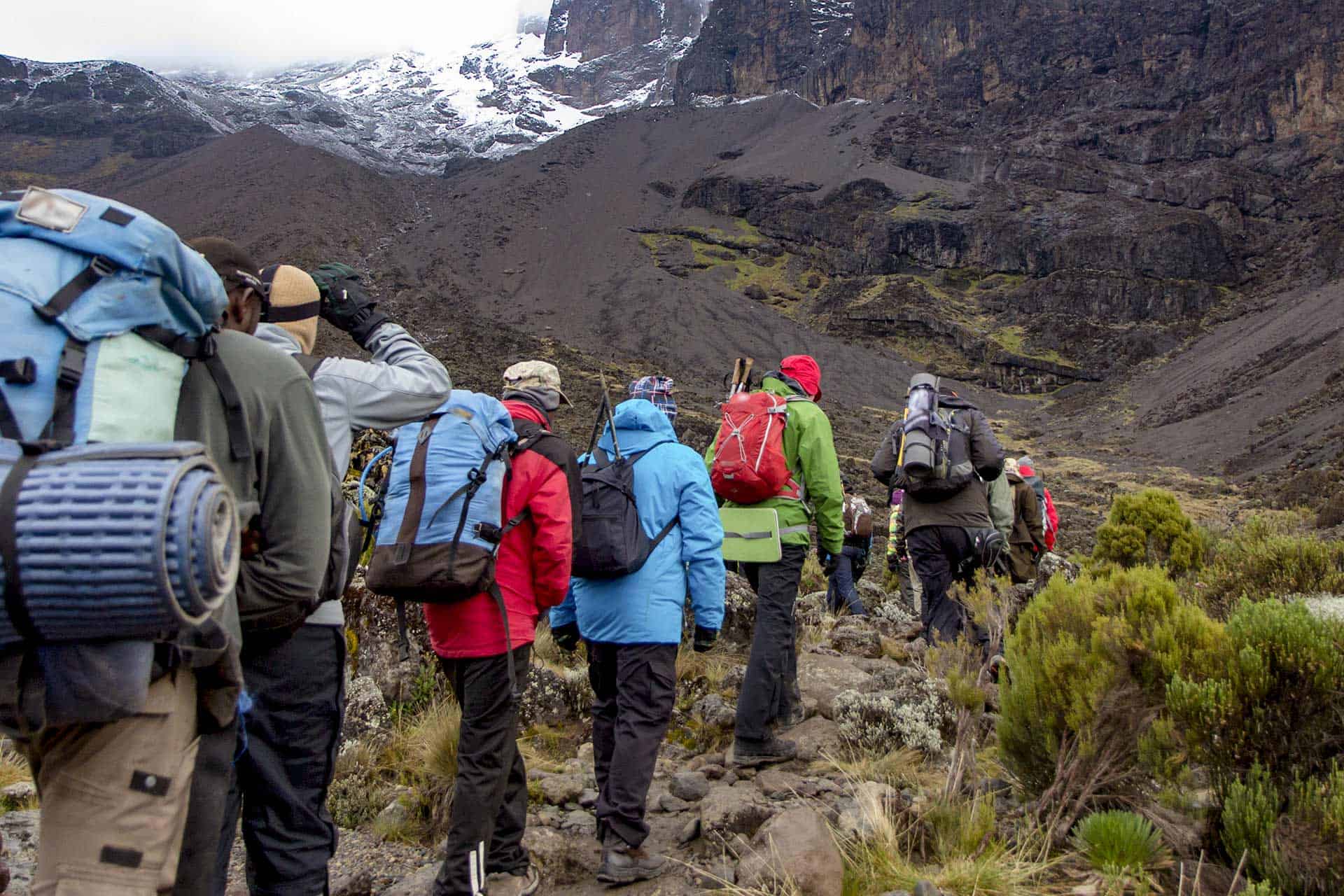 Climb Kilimanjaro with the Best Guides on Kilimanjaro Peak