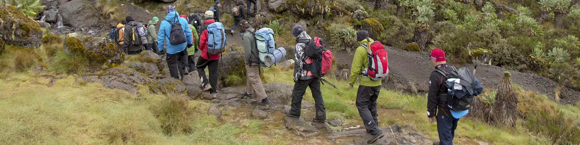 responsible trekking