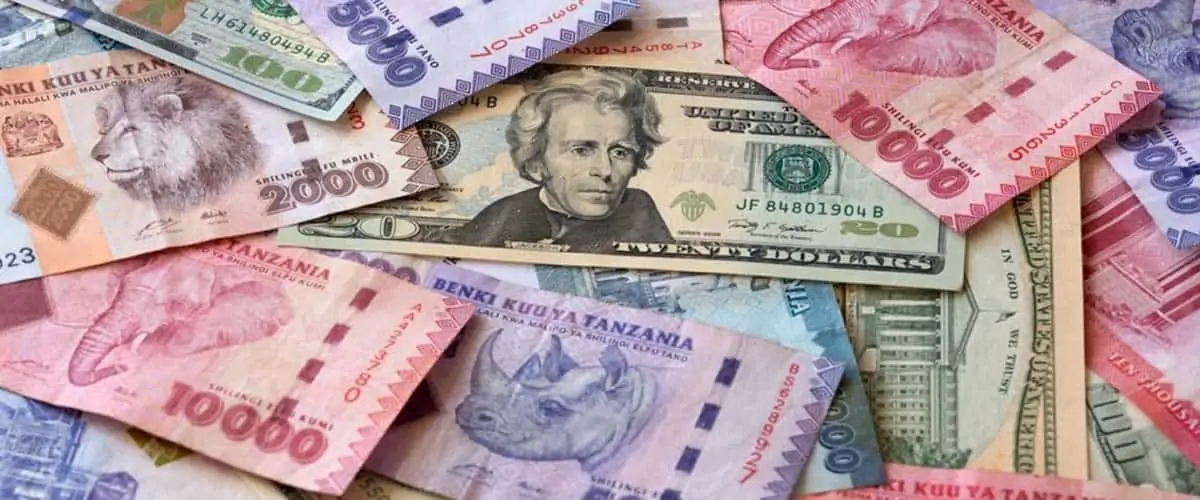 tanzanian shilling